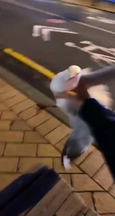 Sound on for justice.