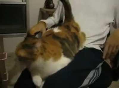 Wunkus demands the *slape*