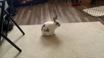 Air Bun