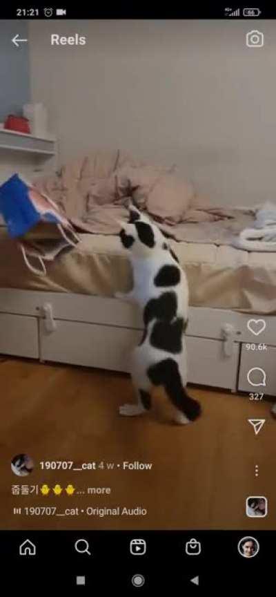 Attempting to steal a bag, backfires