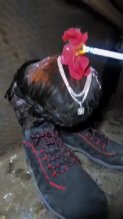 Drippy Cock