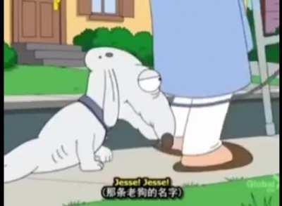 What the crap jessw in family guy?😳😳