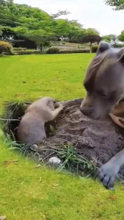 Need a little help mr?