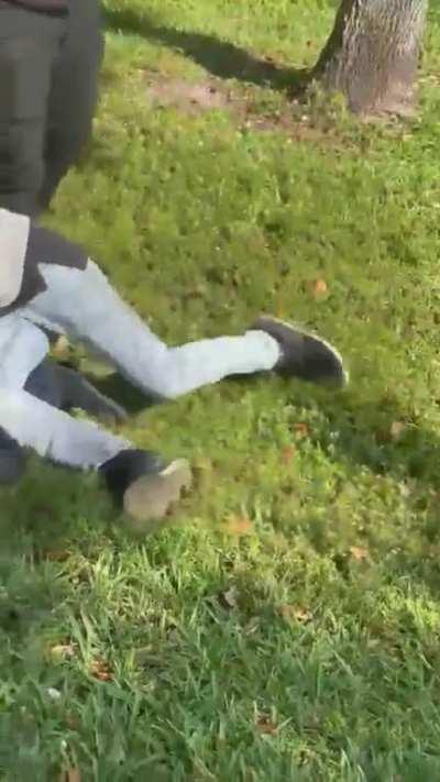 Fight at a bus stop near me