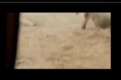 My friend made this. Thought some of you might find it a bit funny.