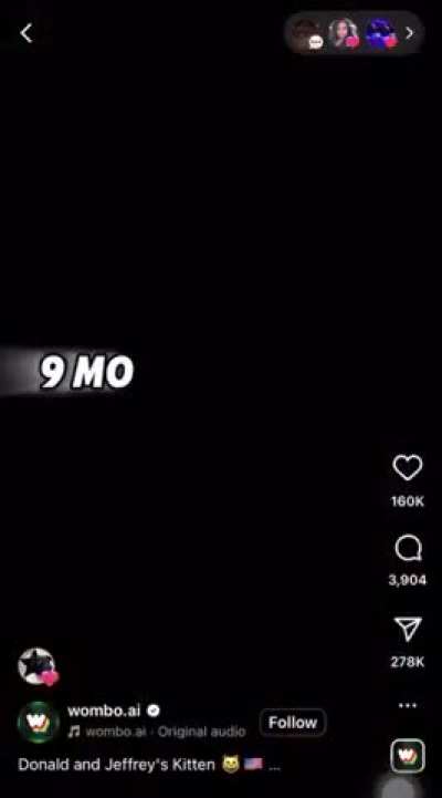 Thanks I hate this AI cat Trump/Epstein breakup video