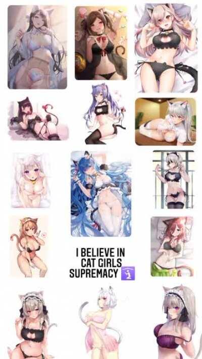 Cat girls supremacy is bigger than anyother supremacy, change my mind
