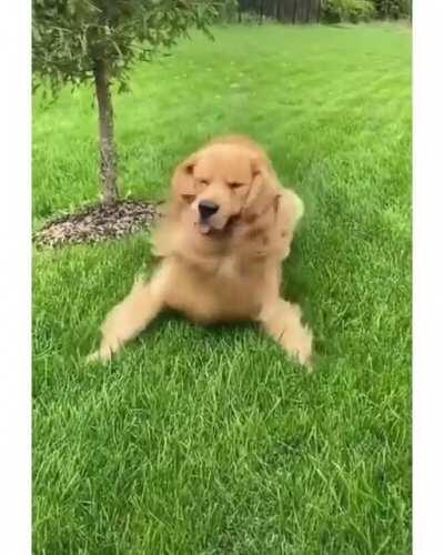 Cartoon Moment for this doggo