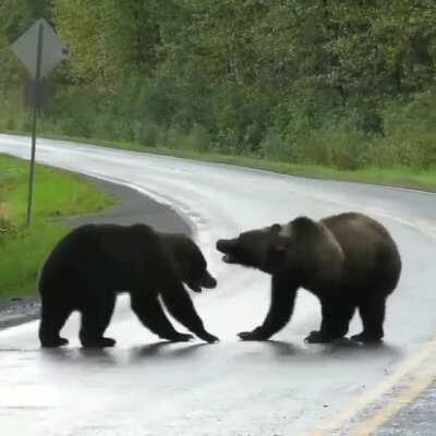 I've heard that bear number 1 didn't want to share his salmon...