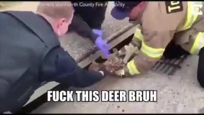 And this is why nobody says, “Fuck the fire department.”