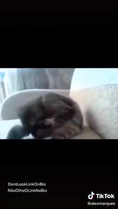 When you realize 15 minutes could have saved you 15% or more on your car insurance