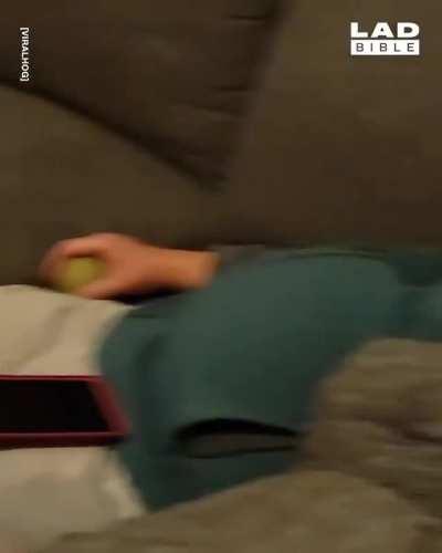 Dog dies the slowest of deaths