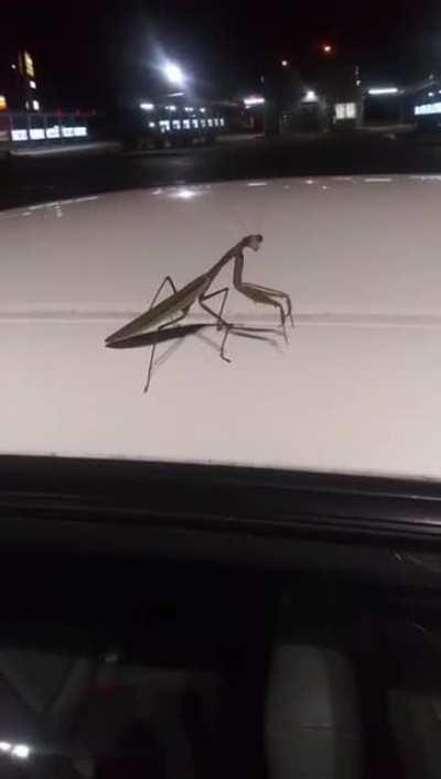 something on the car..