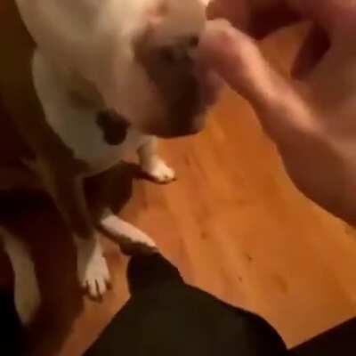 No jelly beans for you