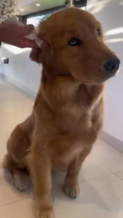 Thaaaaat’s the spot.