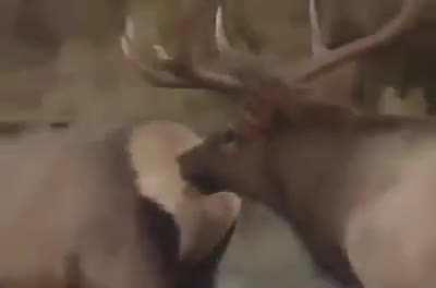 Что здесь происходит?