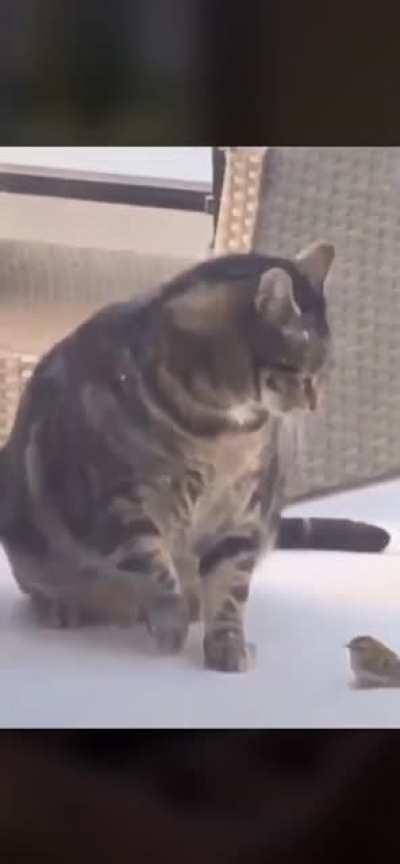 He was just trying to play