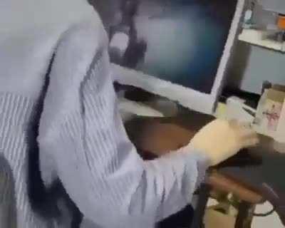 authentic gaming experience