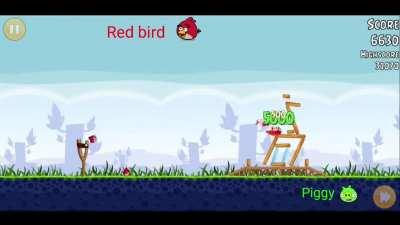 bro thinks in angry birds 💀