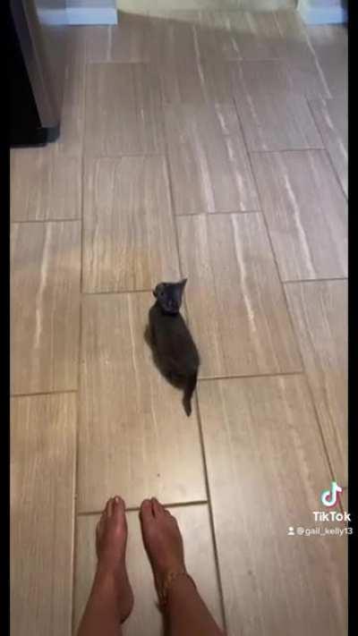 Dumpling is a big talker