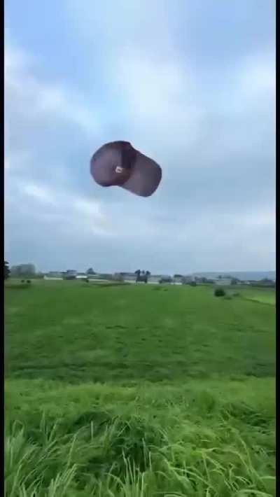 The world after down a bottle of Maotai