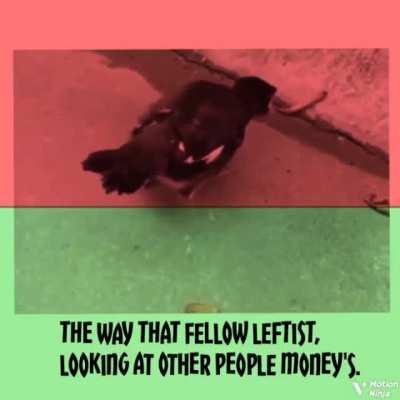 common comrade, let's make everything equal!