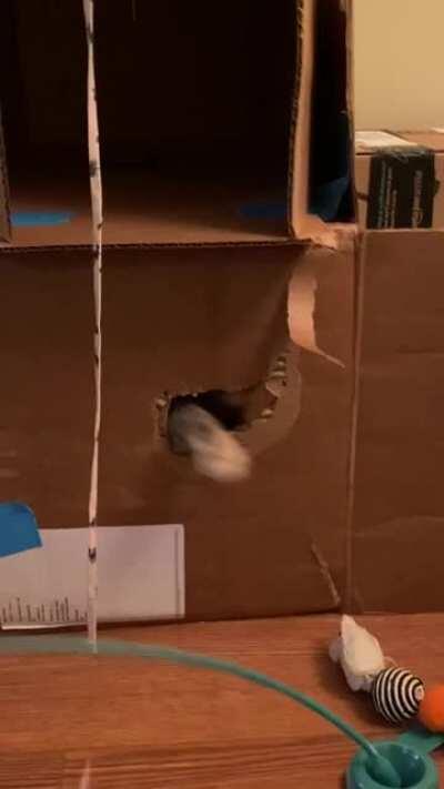 She loves the box castle