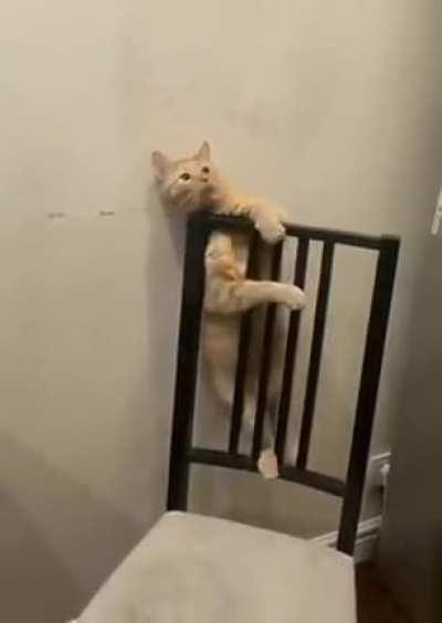 Something, something, .exe