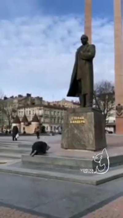 hail atadork brozzers