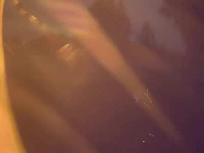 Tesla saved my ass by capturing the hit n run