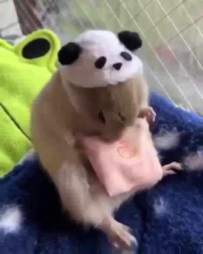 Every time, snack time.