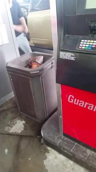 Bathsalts or something else?