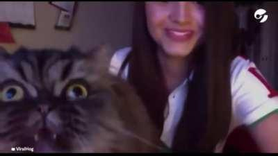 wait, i know this part