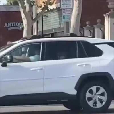 Just a man walking his goose