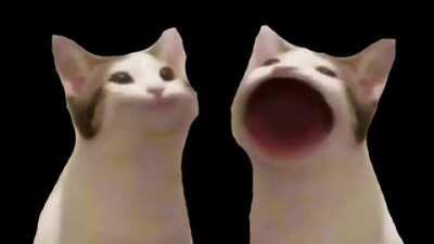 Tutututututututututupupupupupupupupuwakuwakuwakuwaku