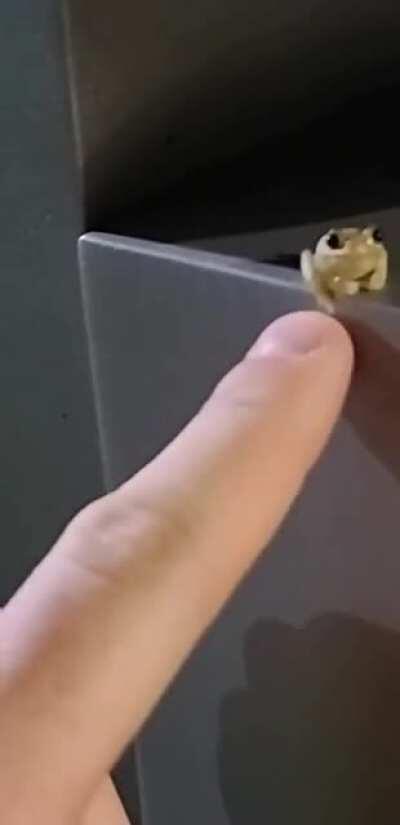 Happened to me last night... count me traumatized