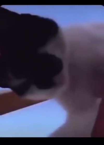 If he scored we never know