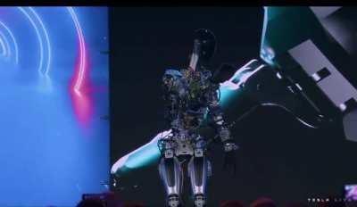 Tesla Robot.. coming to you under 20 K.