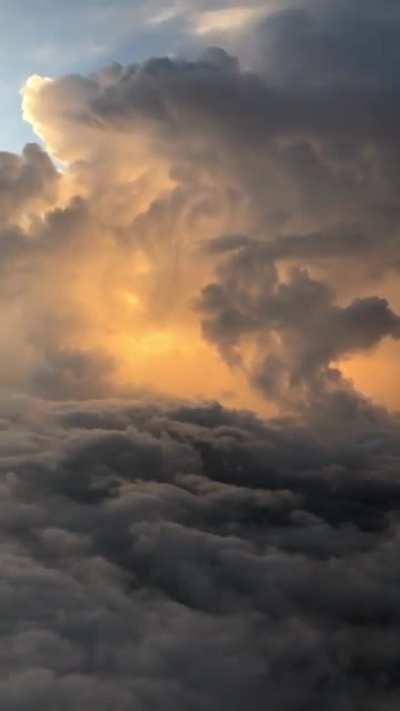 Thought you guys would like this!