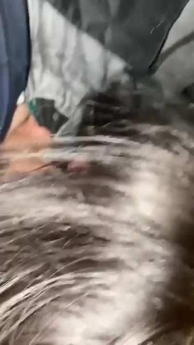 girlfriend gives head in taxi