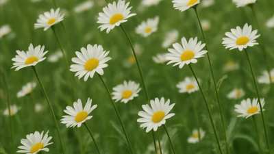 Mkgee x Justin Bieber