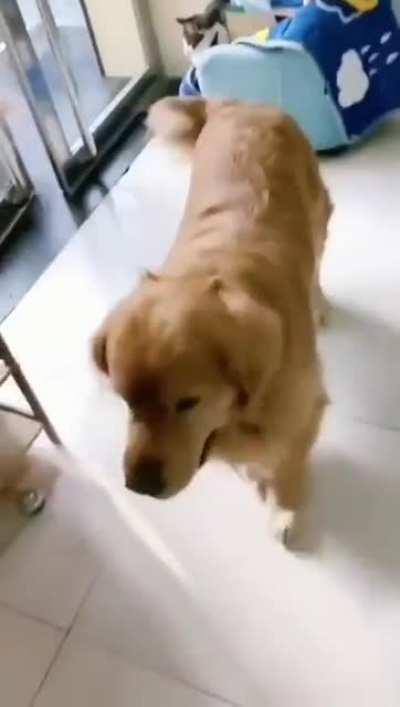 Come in bro, come in.