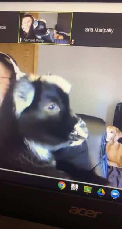 My teacher got juice wrld