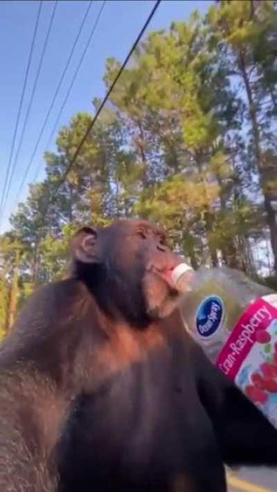 Current mood as I buy and HODL… Thanks for discount Ken❤️