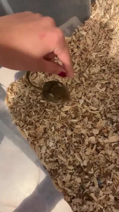 UPDATE: this is him 24hrs later