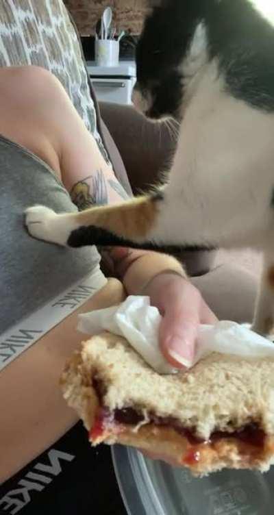 Just got home from a bike ride and I guess I was a little too stinky for Stella’s liking