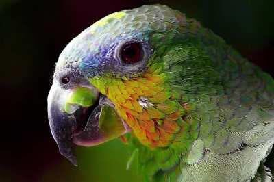 the way i see colors shift