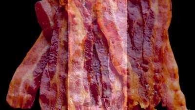 Engineer bacon