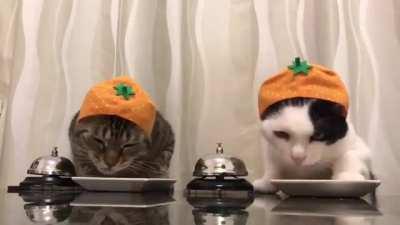 That hats killing me