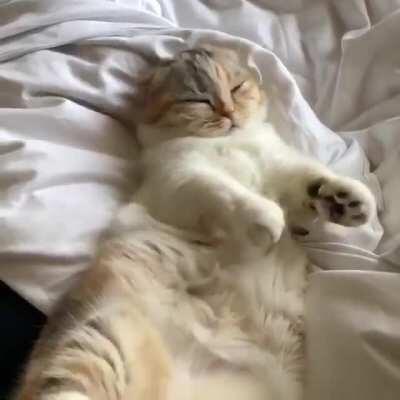 Good Sunday Morning to everyone!!!